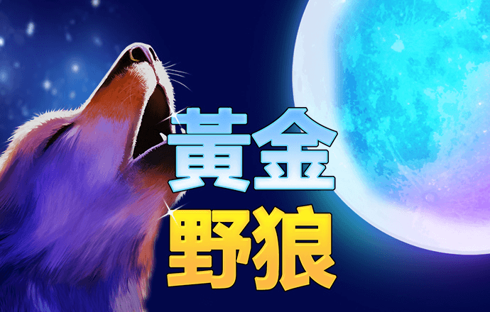 wm娱乐下载